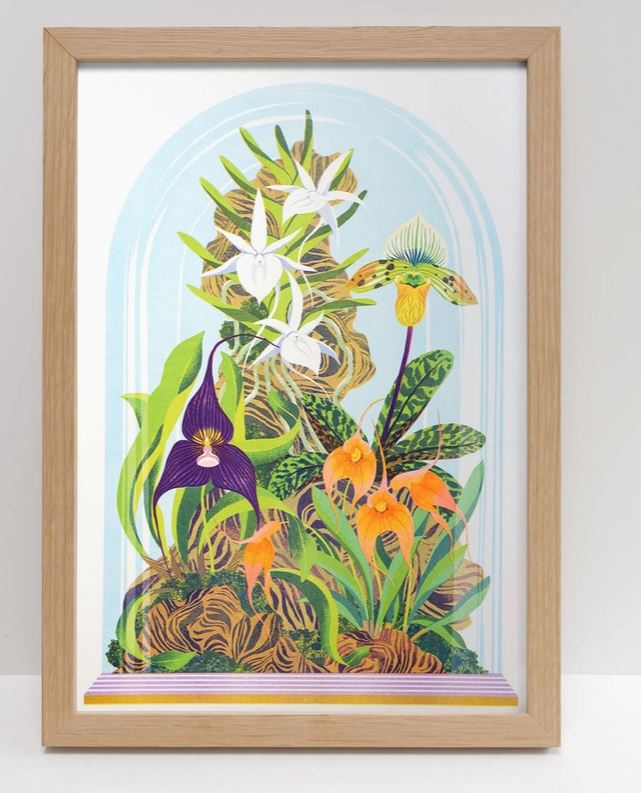 Orchid Still Life Riso Print by Printer Johnson