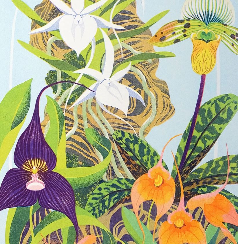 Orchid Bell Jar Riso Print by Printer Johnson