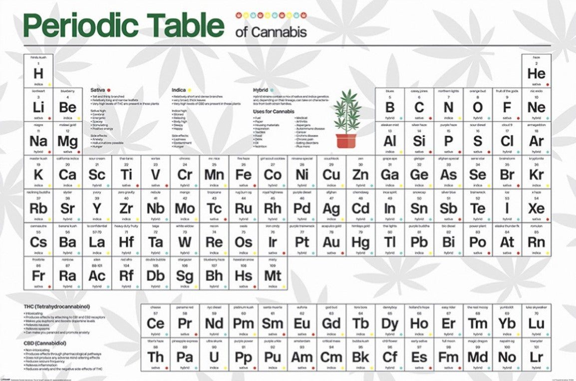 The "Periodic Table of Cannabis" by ALT 066 mimics the elements table, showing cannabis compounds, terpenes, and uses. Printed large on premium 150gsm gloss paper, it features detailed Sativa, Indica, and Hybrid descriptions.