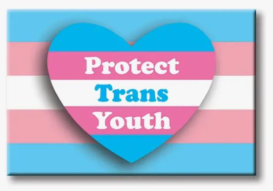 The image on this fridge magnet, featuring blue, pink, and white stripes with a heart shape in the center containing the words "Protect Trans Youth" in white text, symbolizes support for transgender youth. This impactful item from Blue Dog Posters serves as a powerful reminder to house guests of this important cause and is aptly named the Protect Trans Youth Magnet.