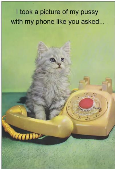 A grey kitten sits next to a rotary phone with the receiver off the hook, accompanied by a text that reads, "I took a picture of my pussy with my phone like you asked..." This funny scene would make the perfect retro greeting card for any cat lover. Check out the Pussy Cat Greeting Card by Blue Dog Posters!