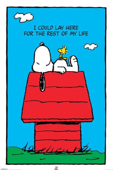 The Peanuts - Snoopy and Woodstock poster by ALT 037 shows Snoopy lying on his red doghouse with Woodstock, under a blue sky with clouds and the words “I COULD LAY HERE FOR THE REST OF MY LIFE,” printed on premium gloss paper.