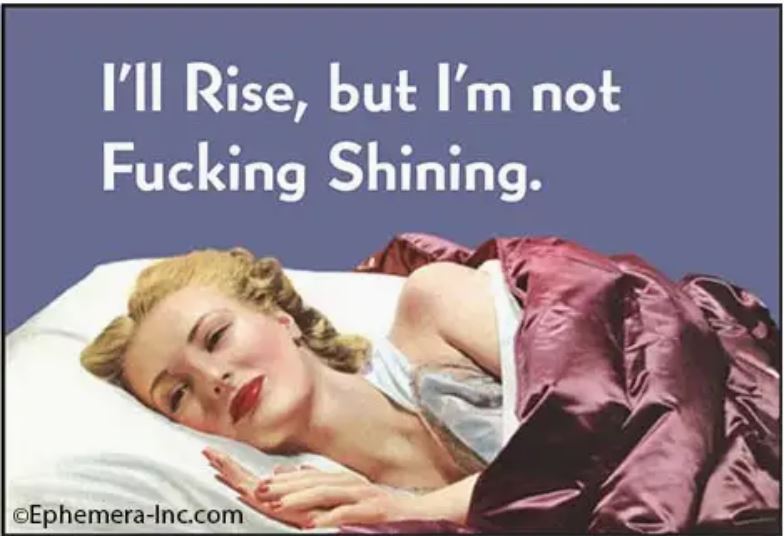 The Not Fucking Shining Magnet by Blue Dog Posters features a tired woman under a maroon blanket with the words, "I’ll Rise, but I’m not Fucking Shining." Add sarcastic humor to your fridge or locker with this fun magnet.
