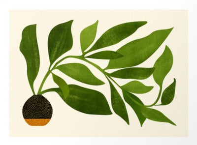 The Wanderer by Modern Topical from GAL147 features a modern plant with pointed leaves in a round black pot with an orange stripe, set against a light background. It's captured on premium matte art paper for an elegant finish.