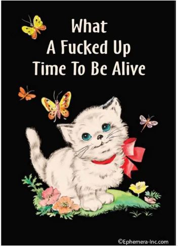 The Fucked Up Time To Be Alive Magnet by Blue Dog Posters features a white kitten with a red bow among flowers and butterflies with the text "What A Fucked Up Time To Be Alive"—a witty, novelty gift for any fun-loving friend.