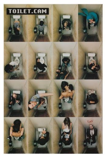 ALT’s "Toilet Cam" poster features a grid of 16 overhead photos showing people in stalls in various poses and dress, with "TOILET.COM" at the top left. Available as a large humor poster.