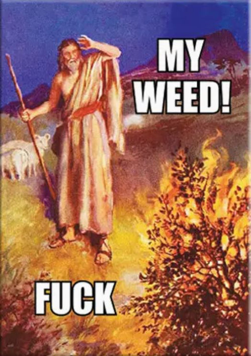 A man in ancient robes stands shocked before a burning bush, holding a staff. The magnet reads "MY WEED!" at the top and "FUCK" at the bottom. The My Weed, Fuck! Rectangle Magnet by Blue Dog Posters is perfect for biblical meme fans.