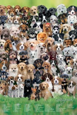 Dog Chart Large - Regular Posters