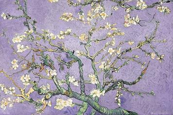 Vincent Van Gogh Large - Regular Posters