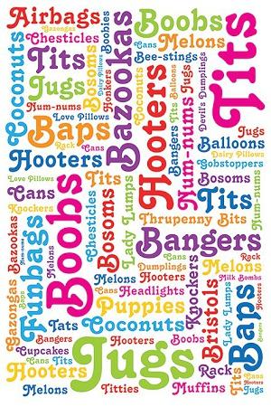 Boob Words – Blue Dog Posters