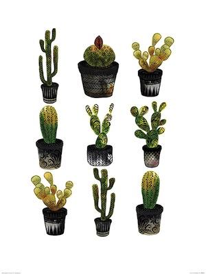 Cacti Large - Decor Series
