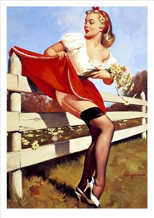 Fence Small - A3 Posters