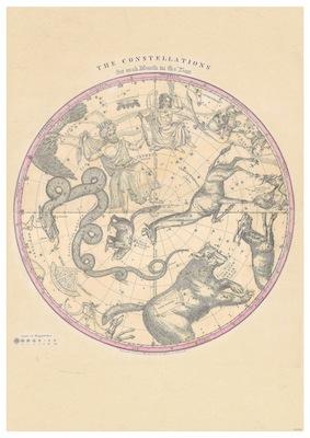 Asotrologie Constellations Pink Small - A3 Posters