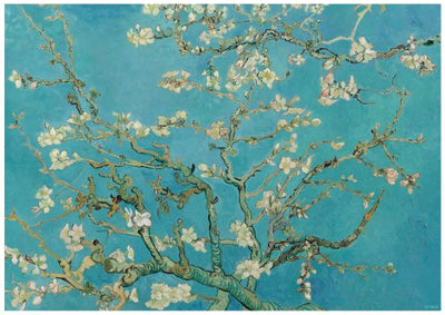 A painting of blossoming almond branches set against a vibrant turquoise-blue background. The branches are twisted and covered with delicate white flowers, emphasizing the contrasting colors and detailed textures. Part of our A3 Posters Collection, this classic art poster, Almond Blossom Van Gogh by Y, is printed on high quality 250gsm satin paper.