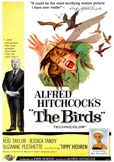 Poster for Alfred Hitchcock's "The Birds." A woman screams as birds attack her. Text reads: "It could be the most terrifying motion picture I have ever made!" and "The Birds." The cast includes Rod Taylor, Jessica Tandy, Suzanne Pleshette, and Tippi Hedren. Available as high quality 250gsm Satin Paper A3 Posters under the brand name Y.