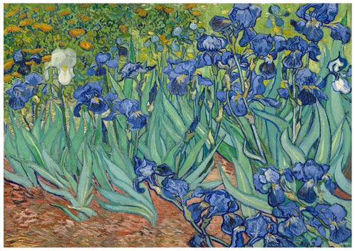A vibrant, detailed painting of a garden filled with blooming irises graces this classic art poster. The flowers, predominantly in shades of deep blue and purple, stand tall among lush green leaves. Scattered white irises enhance the scene, all captured beautifully on Blue Dog Posters' Irises Van Gogh printed on A3 posters using 250gsm satin paper.