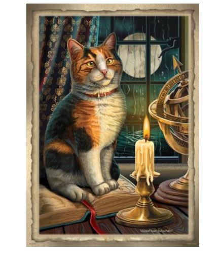 A calico cat sits on an open book, illuminated by the soft light of a burning candle. The background features a window with rain streaks and an astrolabe on the table. This cozy, reflective scene is part of our Decor Series, available as the Lisa Parker Print - Adventure Awaits by MEZ that suggests warmth and contemplation.