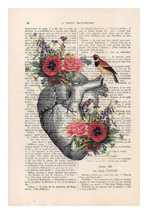The ABP Antique Book print 29x19cm Flower Heart features an anatomical heart illustration adorned with vibrant, blooming flowers and birds, superimposed on an antique book page from an old French text. This unique illustrated design juxtaposes nature and anatomical detail against a retro literary background.