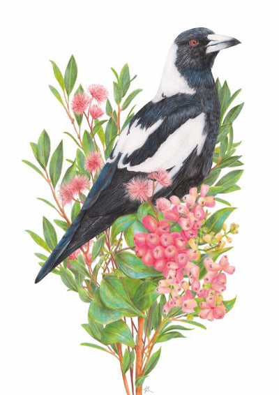 The 'Magpie by Kayla Reay 40x50cm' by GAL171 features a black and white bird with distinctive markings perched on a branch with green leaves and clusters of pink flowers, showcasing its bright red eye and long tail.