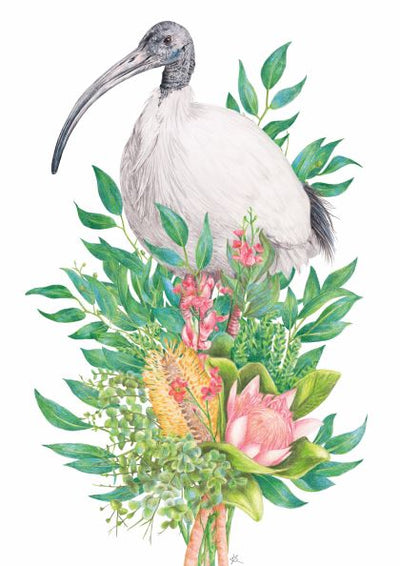 The "Bin Chicken" by Kayla Reay, a 40x50cm artwork available from fap, showcases a detailed illustration of a black-headed white ibis perched amidst a vibrant botanical arrangement. The composition features various green leaves and colorful flowers, including tropical blooms and greenery, set against a plain white background.