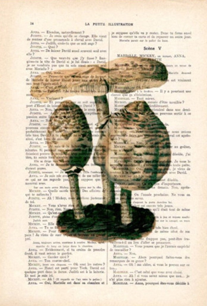 The "Antique Book prnt 29x19cm Mushrooms2" by Blue Dog Posters features a vintage illustration showcasing three mushrooms of varying sizes, depicted in detailed, earthy tones. These mushrooms are artfully layered over what seems to be an excerpt or dialogue from the book "La Petite Illustration.