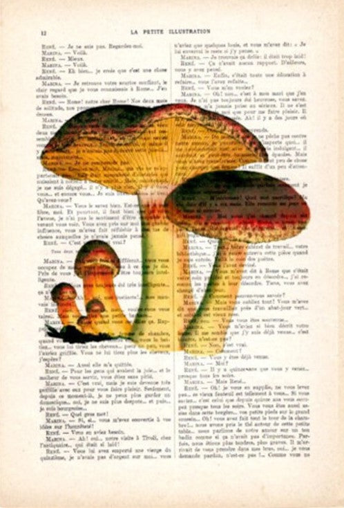 The "Antique Book Print 29x19cm Mushrooms3" by Blue Dog Posters features an enchanting illustration of two large mushrooms and three smaller ones. The vibrant orange and yellow hues of the mushrooms stand out against the black text of the old French book page, producing a striking and artistic layered effect.