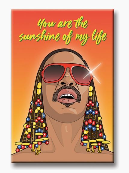 An illustration of a person with long, beaded hair wearing large red sunglasses adorns the Stevie Wonder Magnet by Blue Dog Posters. Above the figure, in bright yellow and green script, is the text "You are the sunshine of my life." The background transitions from yellow at the bottom to orange at the top, making it perfect for adding a burst of color to your fridge like vibrant magnets.