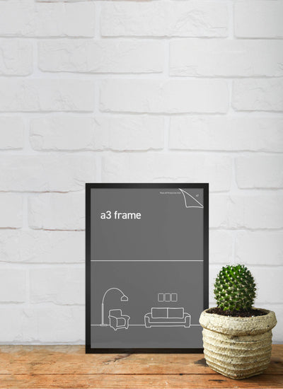 Classic Frame A3 Black Small Frames